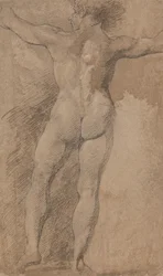 Homme avec les bras écartés vu de dos