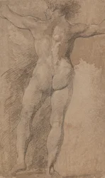 Homme aux bras écartés vu de derrière