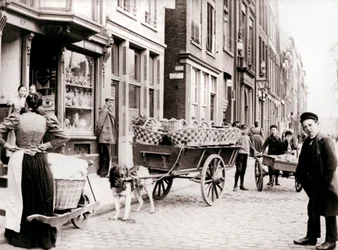 Dogcart, Anvers, 1898