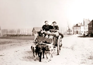 Chiens tirant des femmes sur une charrette, Anvers, 1898
