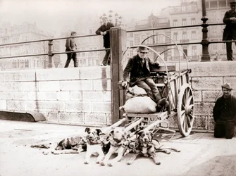 Homme avec charrette à chien, Anvers, 1898