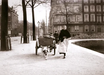 Femme avec charrette à chien, Rotterdam, 1898