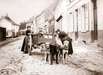 Femmes et charrette à chien, Anvers, 1898
