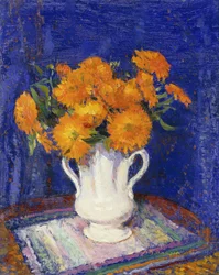 Soucis dans un vase blanc