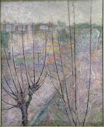 Arbres émondés, Ashford