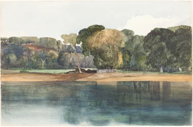 Paysage avec arbres et eau