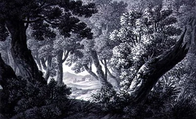 Esquisses de paysage