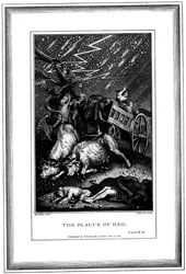 La peste de la pluie et de la grêle, l