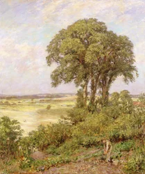 Paysage dans le Sussex