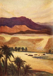 Un camp palestinien à Élim - Heb. xiii. 11