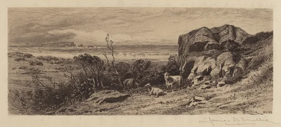 Un coin de Marblehead Neck