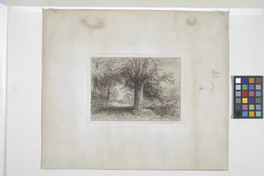 Paysage