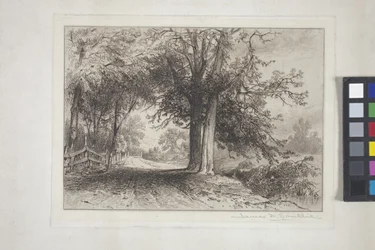 Paysage