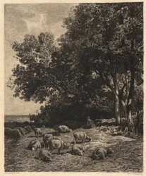Paysage et moutons