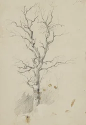 Arbre