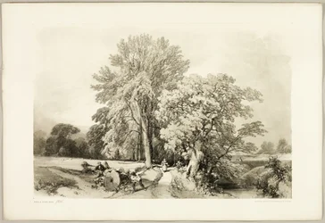 Abele et Chêne, du Parc et la Forêt