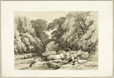 Frêne et aulne sur la Greta, du Parc et la Forêt