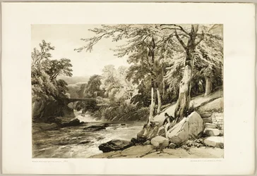 Hêtre et frêne sur la Greta, du Parc et la Forêt