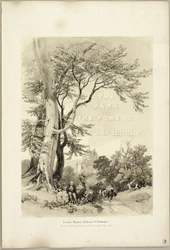 Hêtre et Chêne (Frontispice), de Le Parc et la Forêt