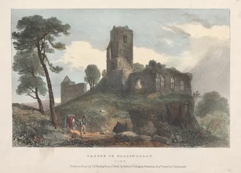 Château de Ballincolly