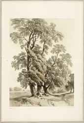 Orme, du Parc et la Forêt