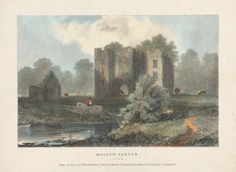 Château de Mallow