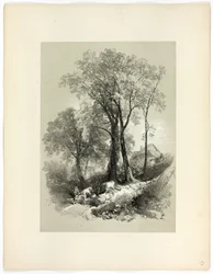 Pont de Shipley, Devon, de Sélections pittoresques