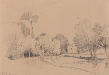 Saules près d