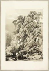 Orme et sapins, du Parc et la Forêt