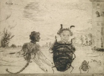 Insectes particuliers