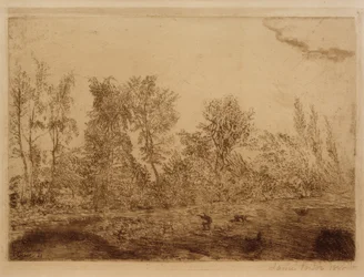 Rafale de vent au bord de la forêt