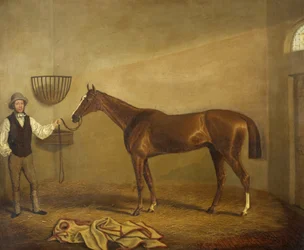 Bravissimo, gagnant de la Monmouthshire Hunt Cup à Abergavenny