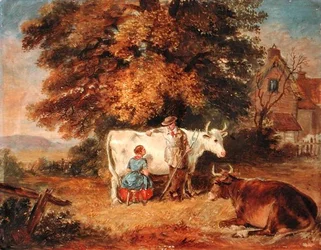 Scène rurale avec des vaches