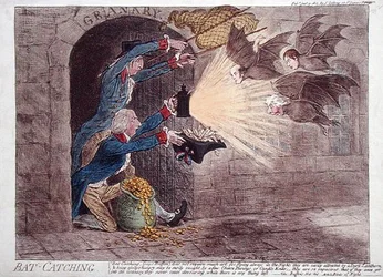 Chasse aux chauves-souris