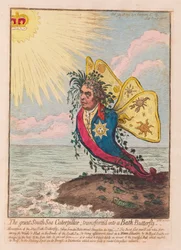 La grande chenille de la mer du Sud, transformée en papillon de Bath, publié en 1792