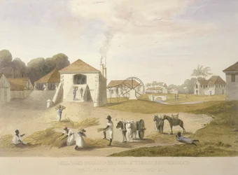 Cour de moulin, domaine de Hollande, Saint-Thomas dans l
