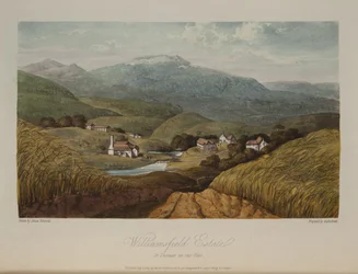 Domaine de Williamsfield, St. Thomas dans la Vallée