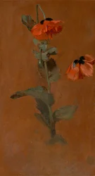 Étude de coquelicots, 1832