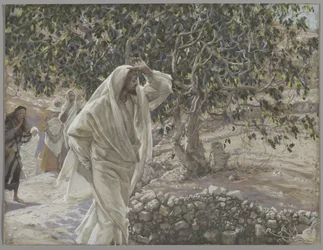 Le figuier maudit, illustration de La Vie de Notre Seigneur Jésus-Christ, 1886-94