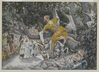 Zachée dans le sycomore attendant le passage de Jésus, illustration tirée de La Vie de Notre-Seigneur Jésus-Christ, 1886-96