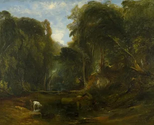 Vallée du Rossignol