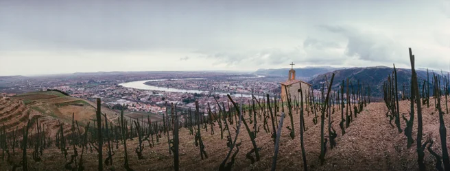 Un vignoble surplombe la ville et le Rhône. SOCIÉTÉ PAUL JABOULET AÎNÉ VIN...