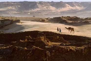 Chameau avec des membres de la caravane de sel traversant un plateau désertique à BILMA, NIGER. BILMA, NIGER.
