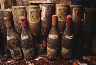 Bouteilles de vin rouge, couvertes de moisissure, vieillissant dans une cave à vin. Tain-L