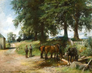 Abreuvement des chevaux