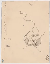 Papillon "Rencontré" (recto) ; Esquisse pour le cordier (verso)