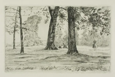 Parc de Greenwich