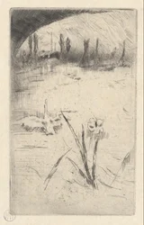 Cygne et Iris