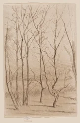 Le Bois du barrage