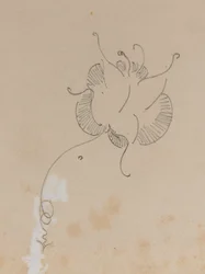 Le papillon de Whistler